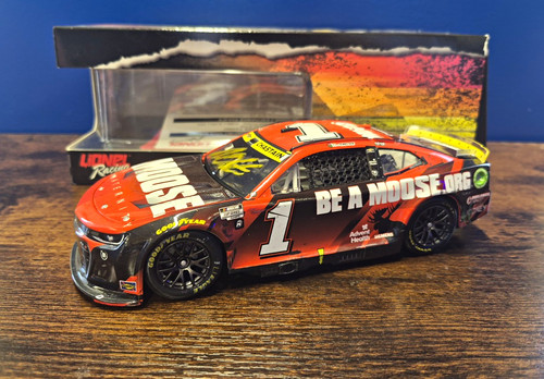 Ross chastain hail melon - chastain,